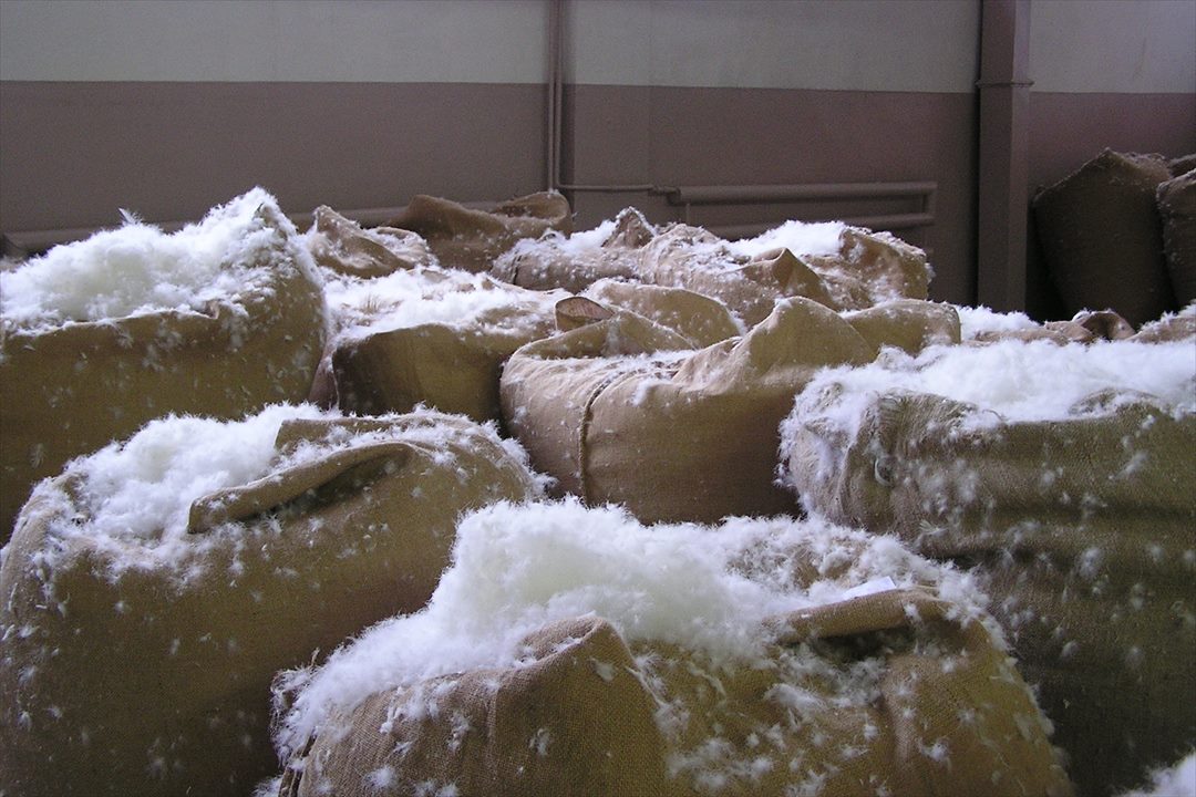 水鳥から採取される羽毛の種類はアイダーダック、マザーグース